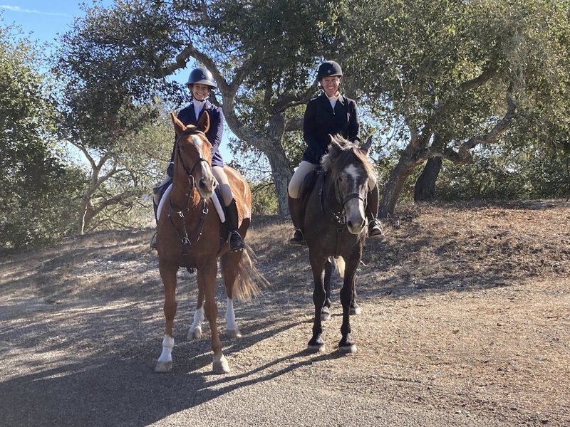 Featured image of post Exploring Central California from the Back of a Horse